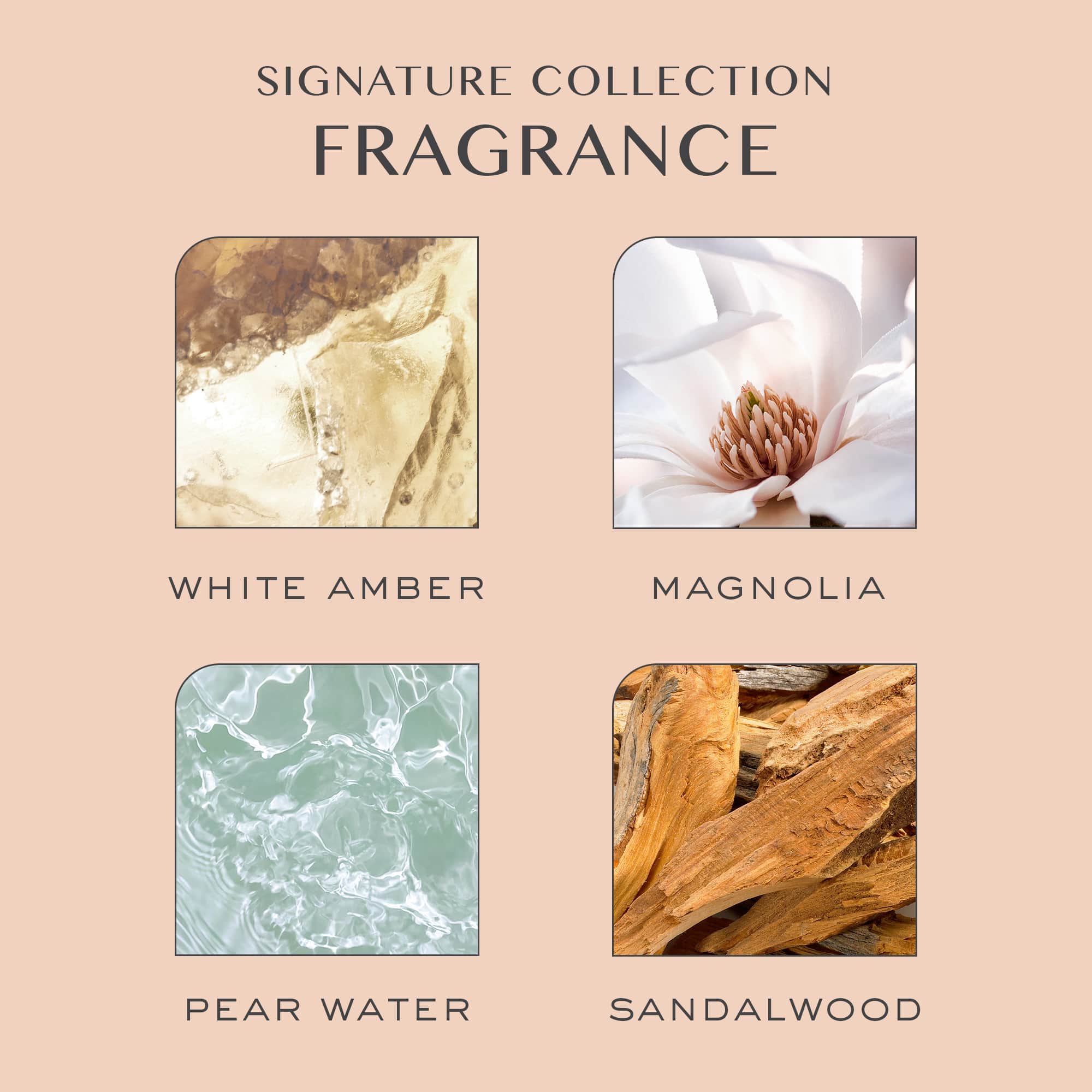 12-in-1 Leave-In Primer