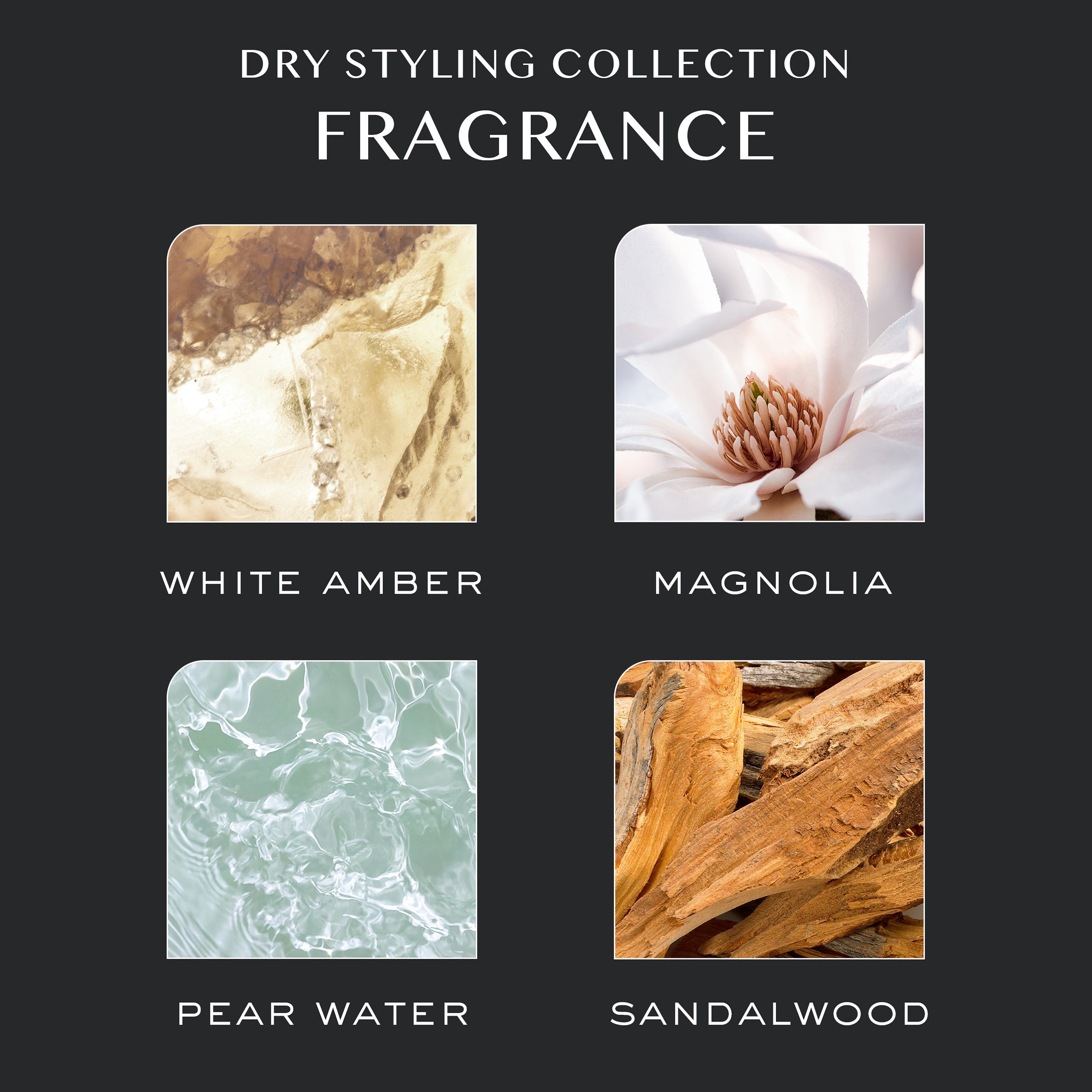 Brunette Dry Shampoo