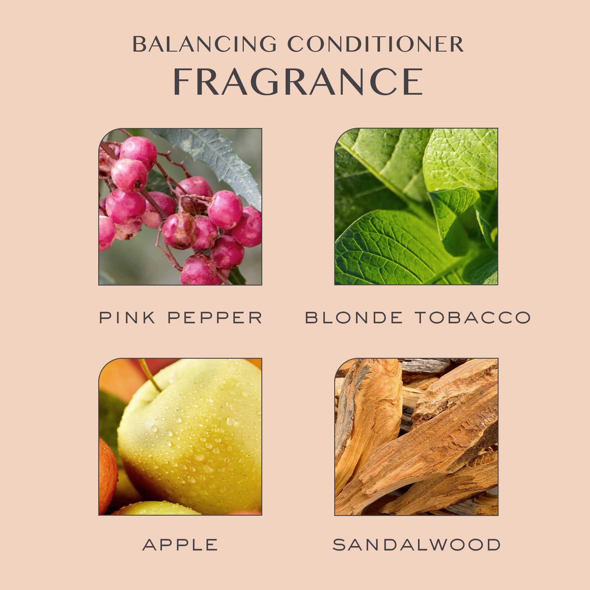 Balancing Conditioner