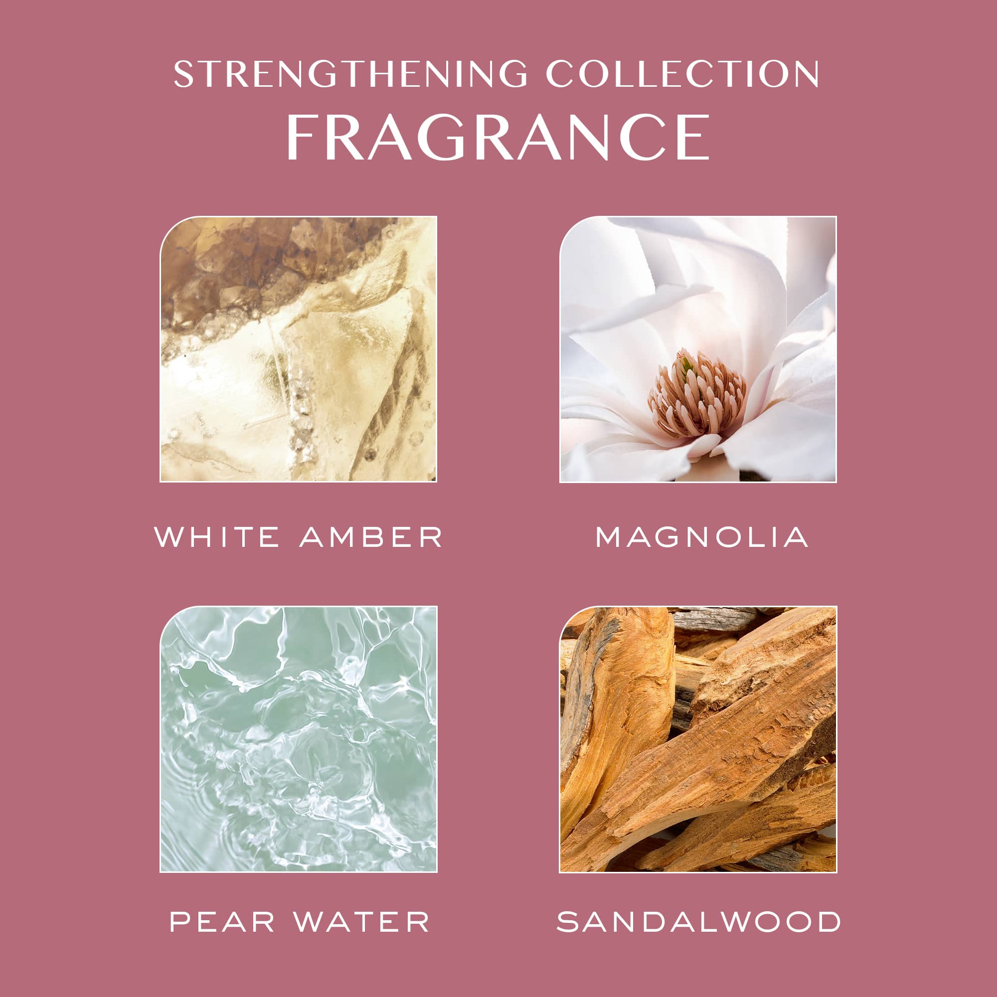 Strengthening Shampoo