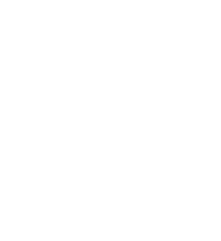 Cruelty Free